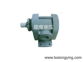 CB type gear pump with foot