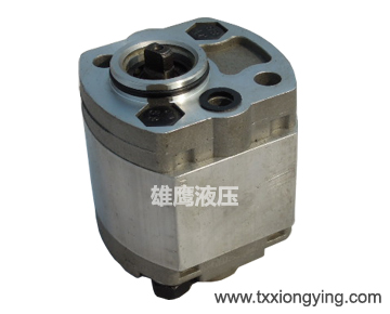 CBK-F200 series gear pump