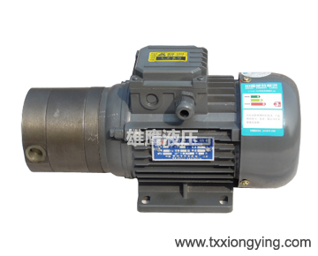 SXF- 2.5 /4.5 bidirectional lubricating oil pump motor unit