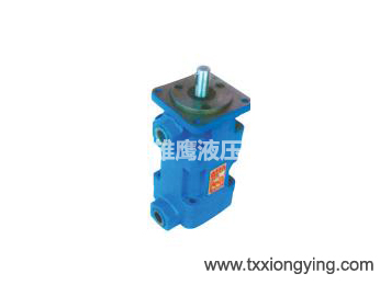 YB1 dual vane pump