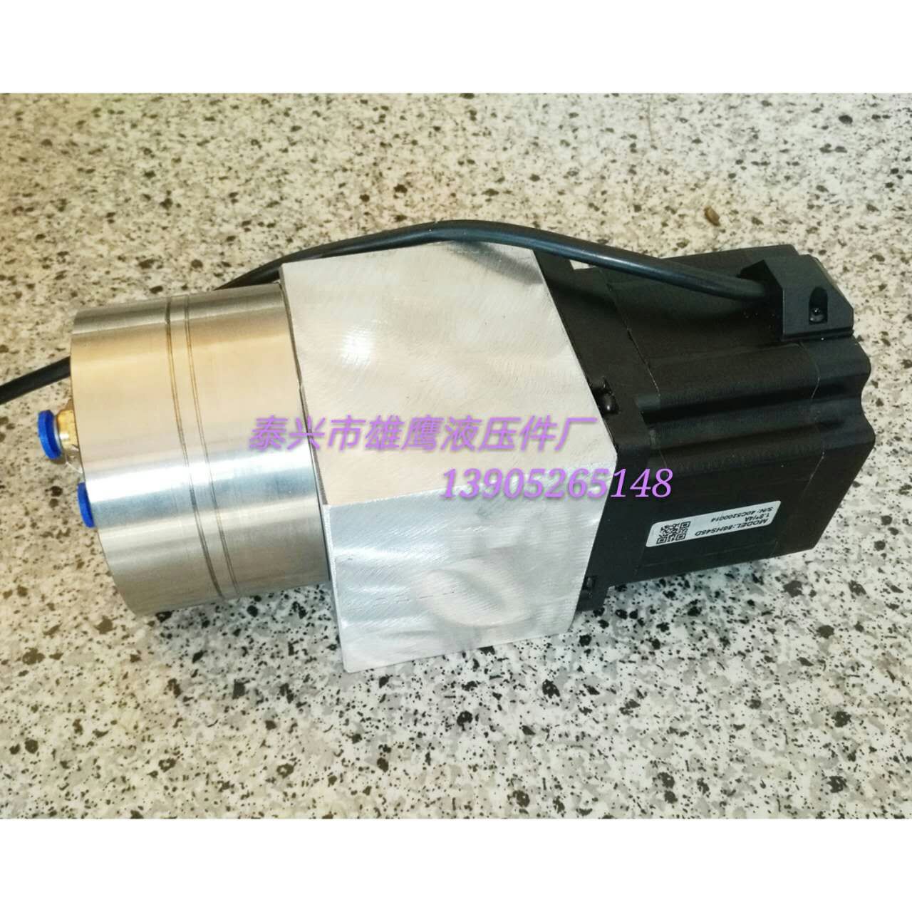 不锈钢齿轮泵电机组