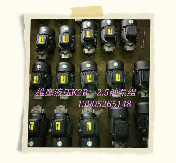 K2B-2.5油泵组
