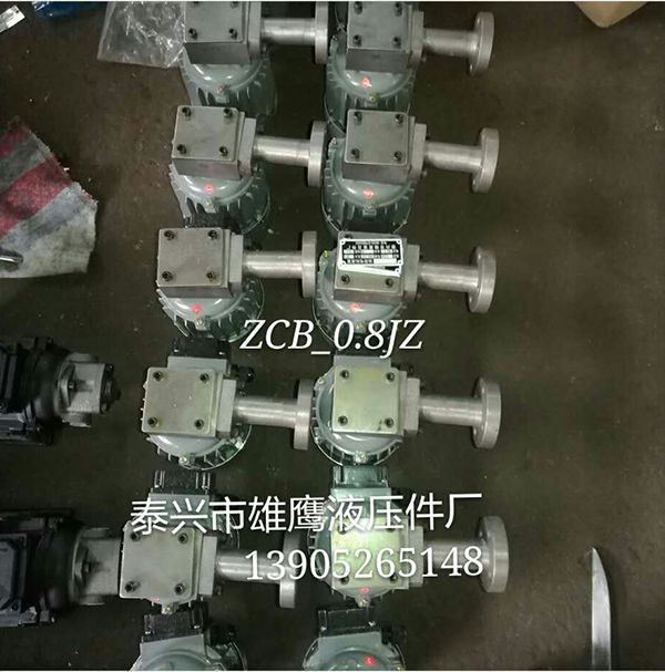 ZCB-0.8JZ油泵
